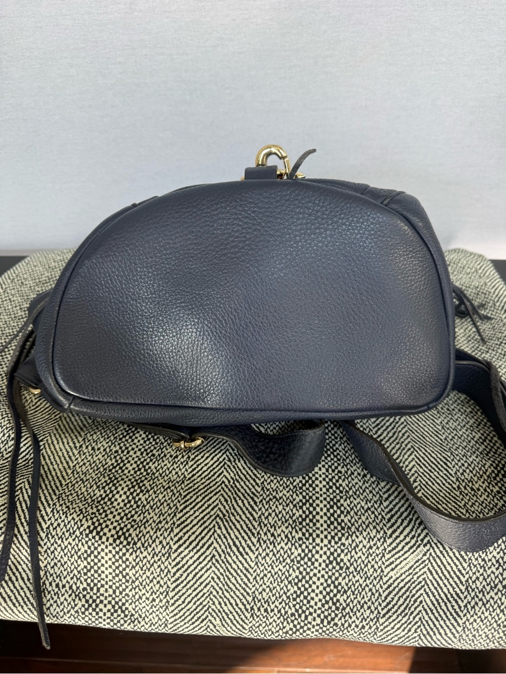Rebecca Minkoff Navy Fringe Leather Backpack with Gold Hardware - Picture 5 of 7